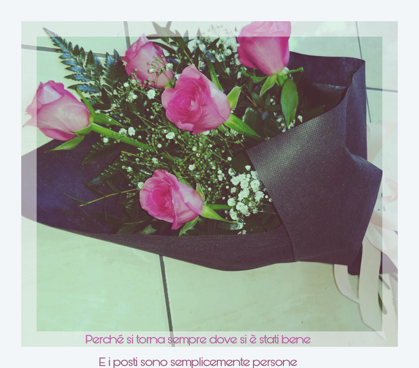 Flowers Fiori Roses Rose Image By Melania Pulvirenti